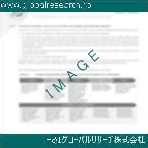 グローバルリサーチ調査資料のイメージ